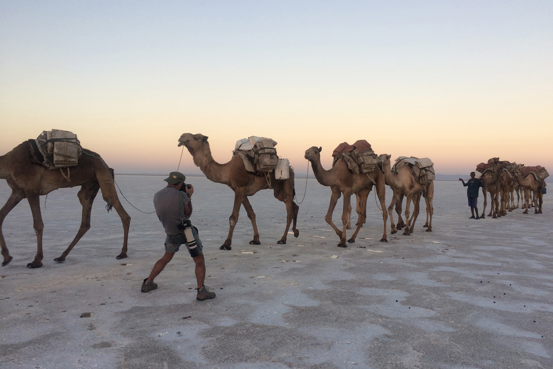 DANCALIA