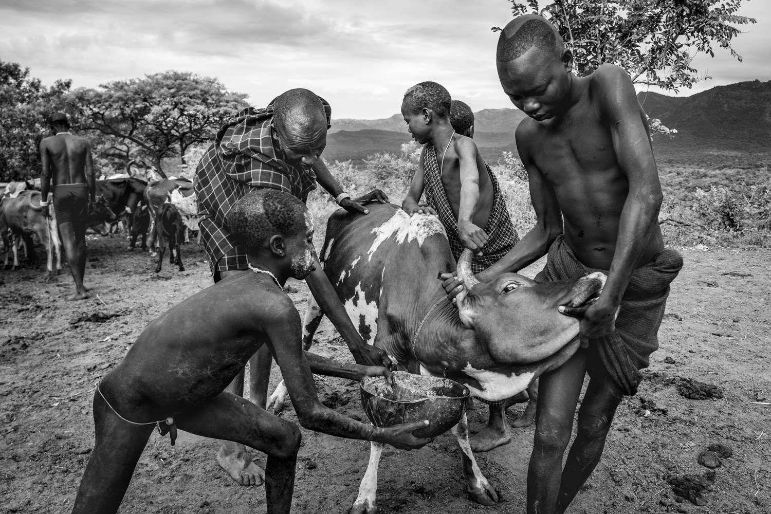 OMO SURMA