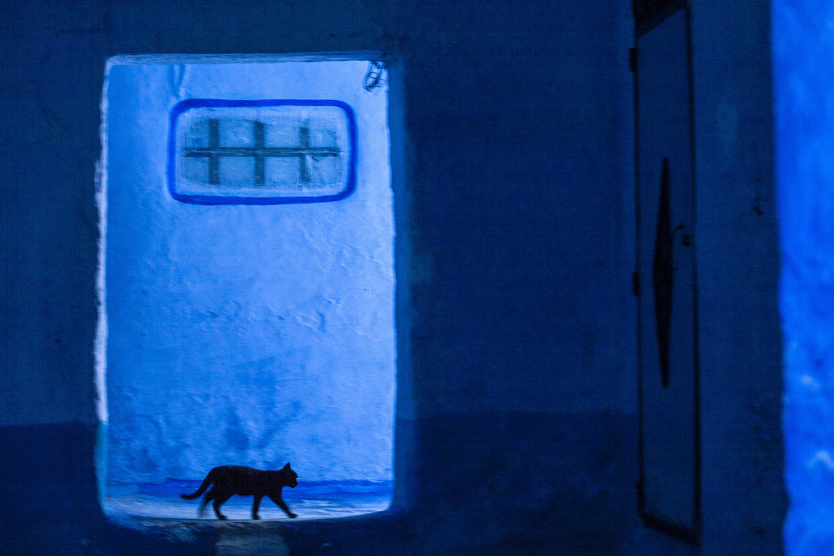 MAROCCO